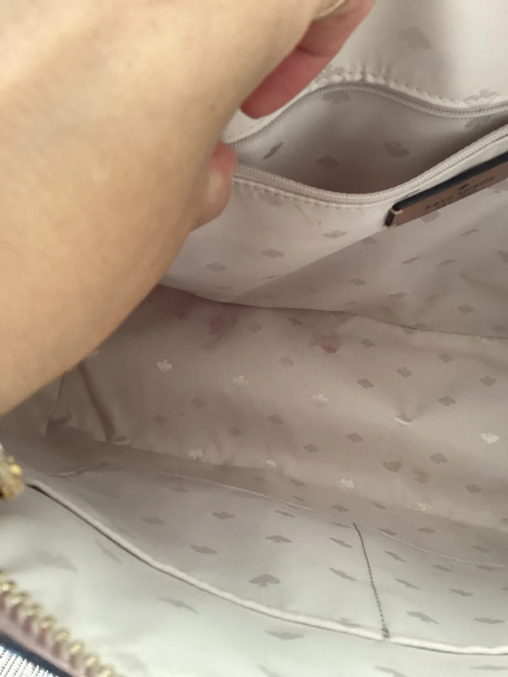 kate spade brand kate